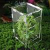 Transparent Reptile Feeding Box Ventilated Spider Observation Box Landscape Habitat