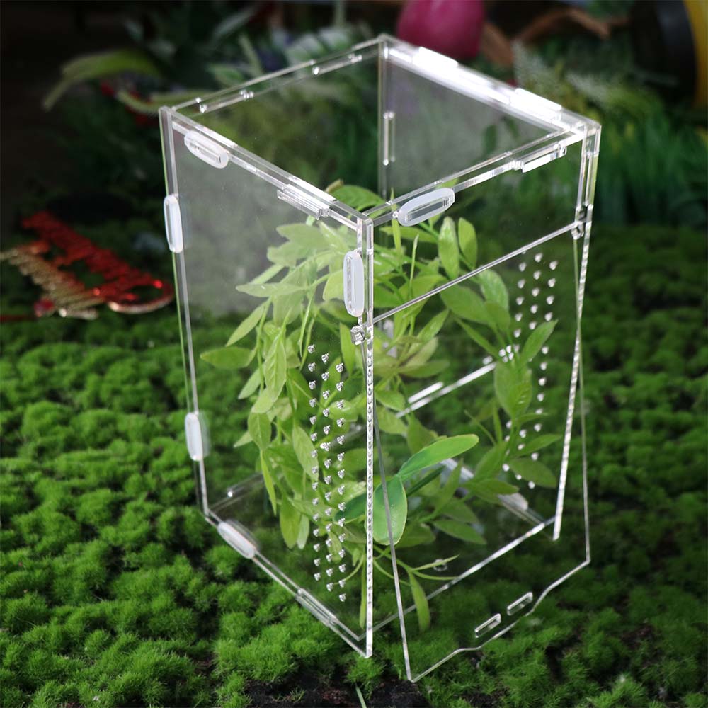 Transparent Reptile Feeding Box Ventilated Spider Observation Box Landscape Habitat