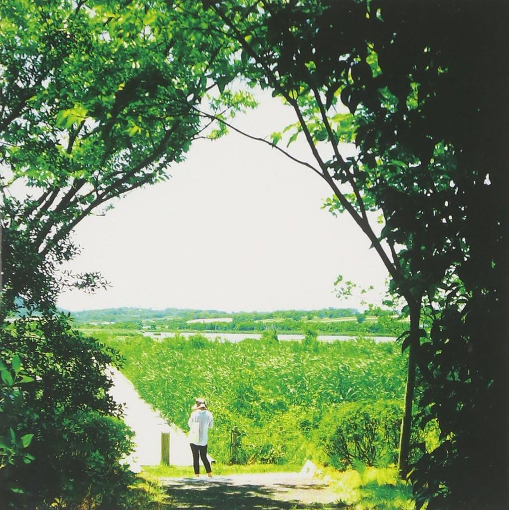 CD MIHO NOZAWA - PIANO MOMENT 1  R1421652 Japan New Age & Easy Listening Used