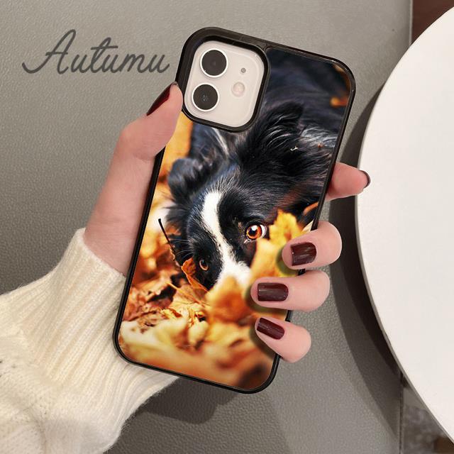 Süße Border Collie Hund Haustier Handyhülle für iPhone 11 12 13 14 Pro Max Mini XR XS SE 2020 6S 7 8 Plus Samsung Galaxy S21 S22 Cover