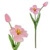 Branch - Pink Foam Tulip 53 Cm