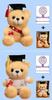 Graduation Gift Bear for Students: Doctoral, Master's, University, Kindergarten