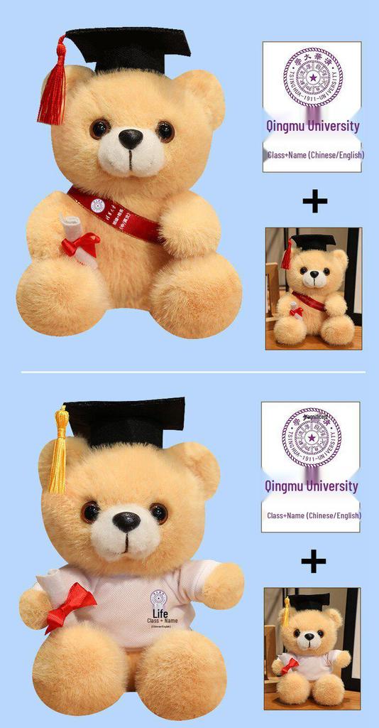 Graduation Gift Bear for Students: Doctoral, Master's, University, Kindergarten