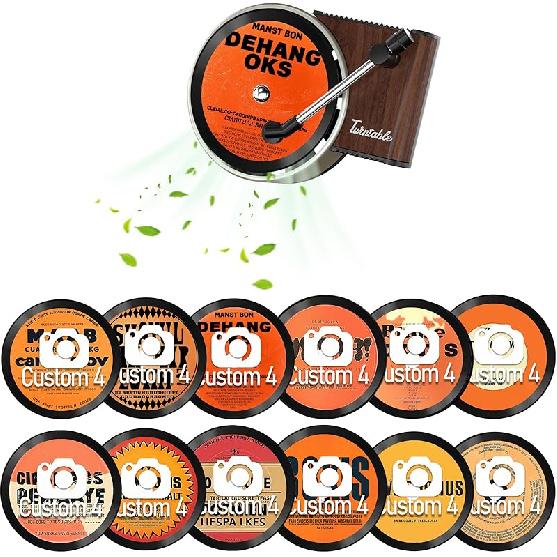 Maicican 12PCS izable Car Air Freshener Vent Clip, Pop Singer Album Cover Record Player Shape, Music Lover Gifts. (Fashion)