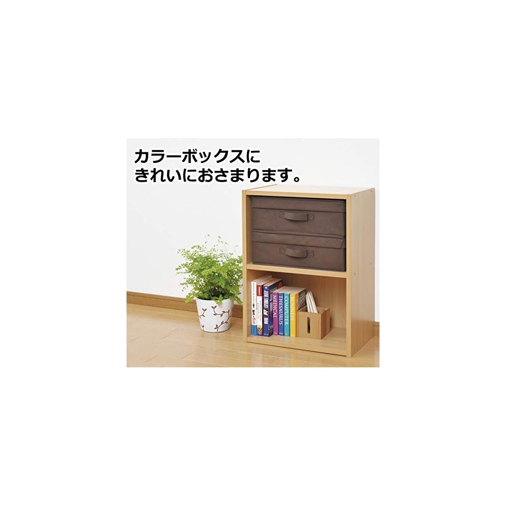 YAMAZEN Anywhere Storage Box, Shallow Type, with Lid, Set of 2, Brown YTCF-2PAFBR