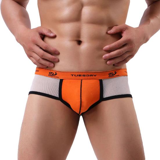 Elastic Mesh Breathable Men Boxer Underpants Sexy Low Waist Convex Underwear