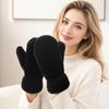 1pair Windproof Plush Gloves Thickened Winter Mittens Simple Full-Finger Gloves  Women