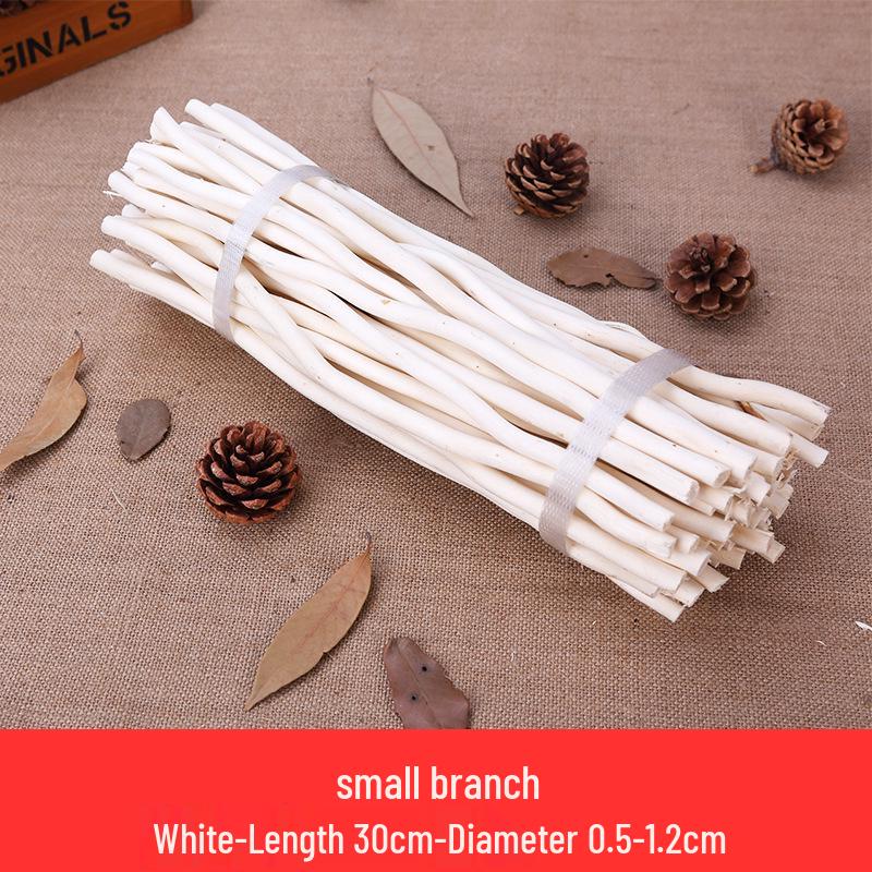 Wood Chips & Tree Slices DIY Craft Kit for Kids
