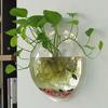 Pot Wall Hanging Mount Bubble Aquarium Bowl Fish Aquarium Home Decoration