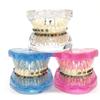 Dental Orthodontic Teeth Tooth Model 4 Kinds Brackets Ceramic and Metal Brackets for Patient Communication Dental Study Model