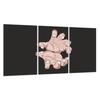 Glass Hob Protector 3x30x52