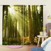 Set Of 2 Forest Light Shadow Natural Scenery Curtains Shade Privacy Protection Suitable Decorating Various Rooms Curtain Made Polyester