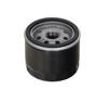 Ft13666 Fast Oil Filter