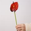 Wedding Background Artificial Anthurium Flower Home Decoration Party Floral Arrangement