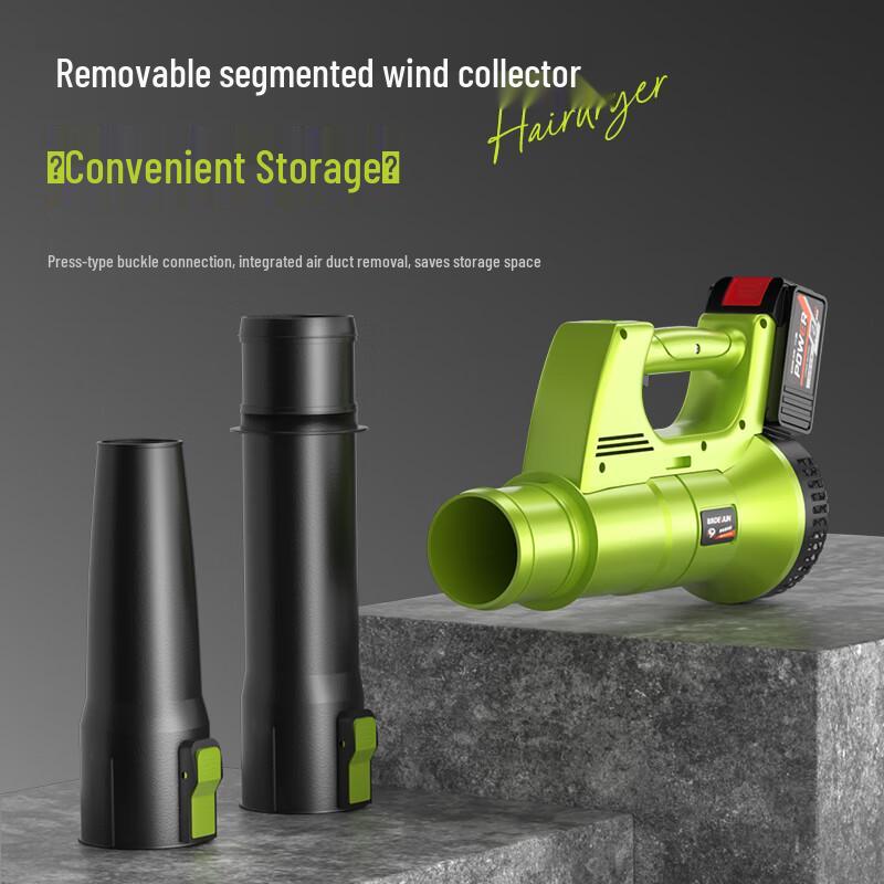 Deyun Cordless High-Power Industrial Blower CN plug (adapter included)
