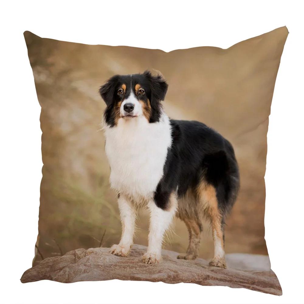Cute Australian Shepherd Dog Pillow Case Peach Skin Decor Pet Animal Cushion Cover Thorw Pillowcase for Sofa Home Car 45x45cm