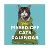 2026 Pissed-off Cats Wall Calendar Living Room Bedroom Hanging Decoration Grid Cats Color Inside Pages Monthly Planner