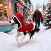 Funny Pet Christmas Horse Riding Costume for Dogs and Cats Holiday Party Outfit