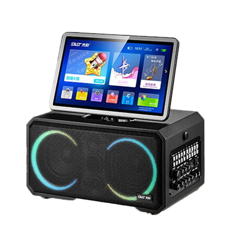 SAST KTV Speaker System with Screen & Mics CN plug (adapter included) (CN version)