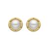 Luxenter Ciada Earrings and 18k Gold Plated