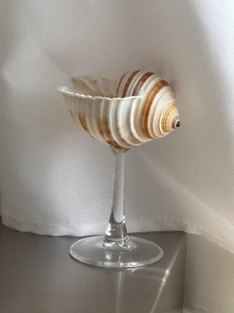 Handmade Tall Wine Glass, Natural Conch Shell, Wine Glass, Creative Design, Shell Tray Gift, High-end Decoration Interesting Cup