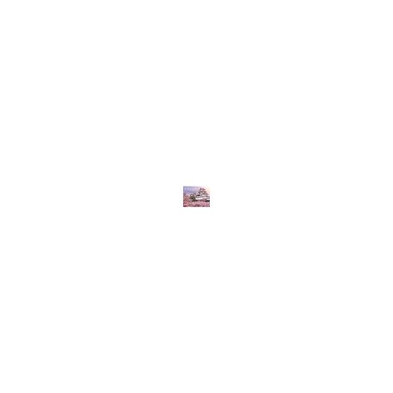 Japan s Famous Castles Calendar 2026 (Monthly/Wall Hanging) (Neko Publishing) (Calendar 2026) (Calendar Series)