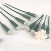 Flower Floral Water Tubes with Caps Reusable Flower Stem Water Tubes Self Watering Extended Orchid Tube for Fresh Flowers