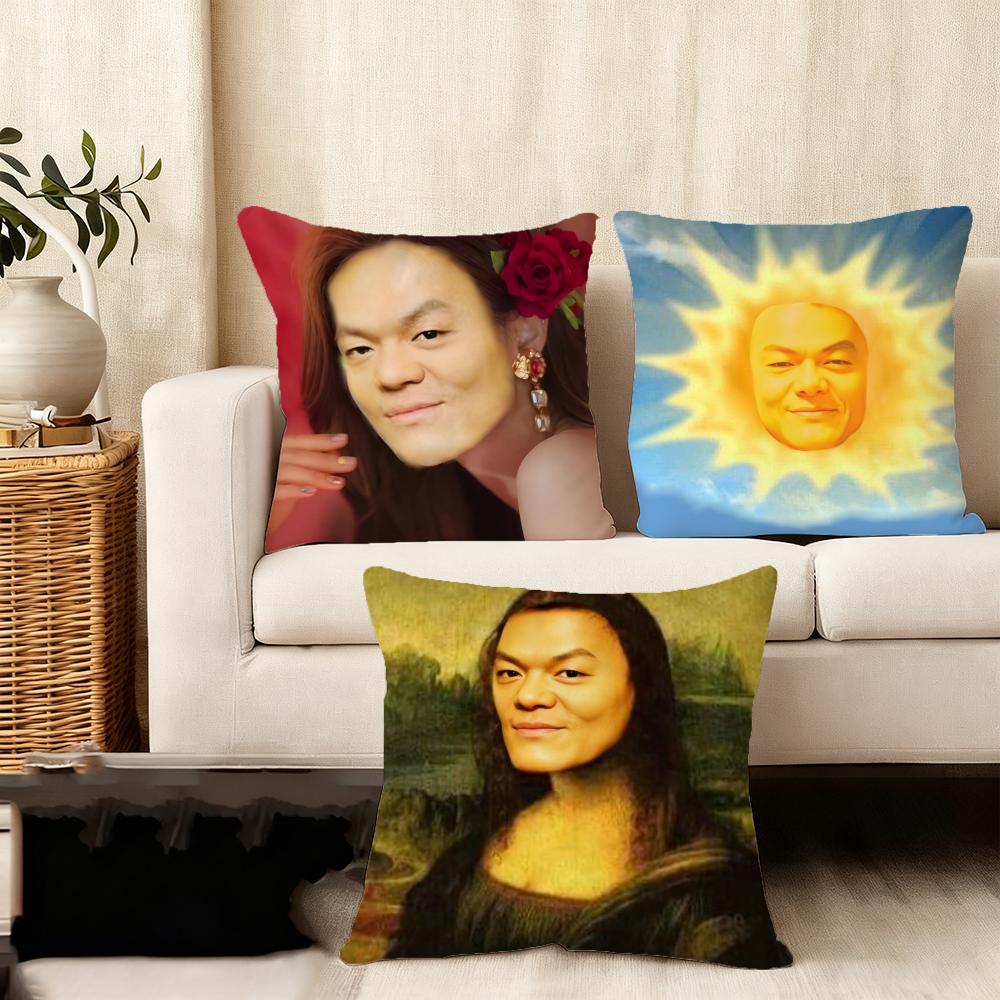 J-Jyp Meme Cushion Cover Soft Plush Fabric Double-Sided Printed Sofa Cushion Cover For All Seasons Home Decor Gift