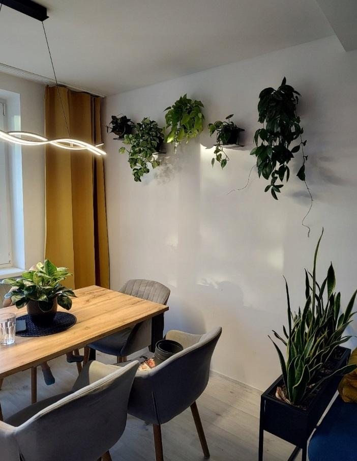 Modern Flora Wall Flower Stand, Black Metal Loft Wall Basket for Flowerpot, Handmade