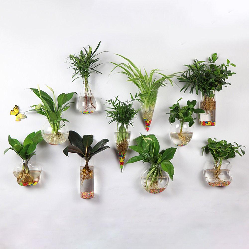 Hydroponics Plants Wall Hanging Vase Transparent Plant Propagation Vase  for Home Office Decor