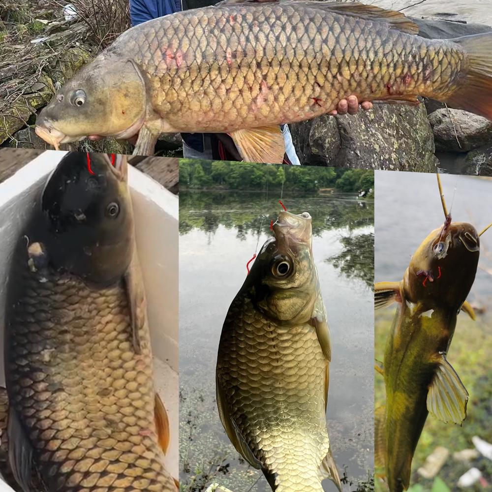 12pcs Red Flip Hook Tube Anti Unhooking, Specially Designed For Carp Fishing With Three Curved Handles, High Carbon Steel Sharp Fish Hook Fishing Gear