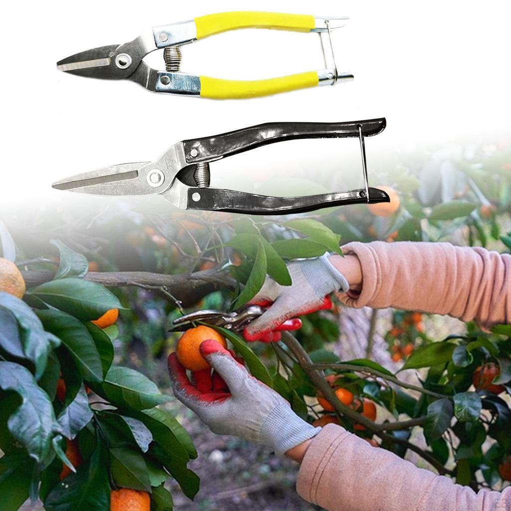 , Garden Pruning Shear, Multi Functional Stainless Steel Sharp Pruners, Fruit Picking Scissors, for