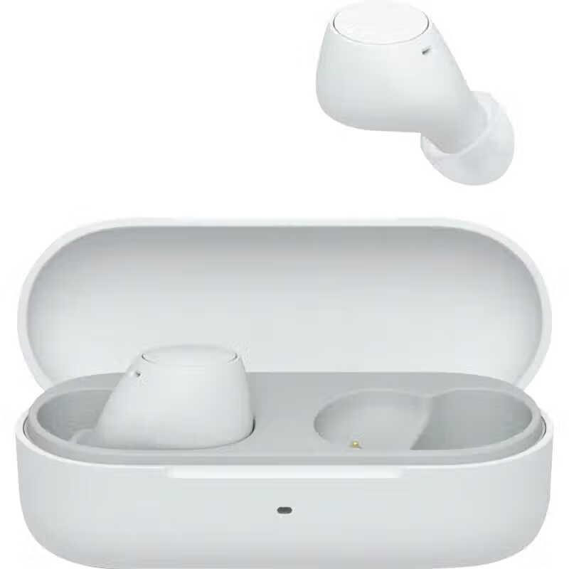 Sony WF-C510 Lightweight True Wireless Earbuds