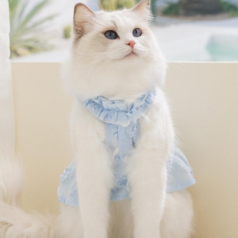Spring and summer thin daisy skirt lace collar cat and dog clothing two-legged casual wear