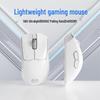 Qianxingzhe EWEADNX21 Wired Gaming Mouse