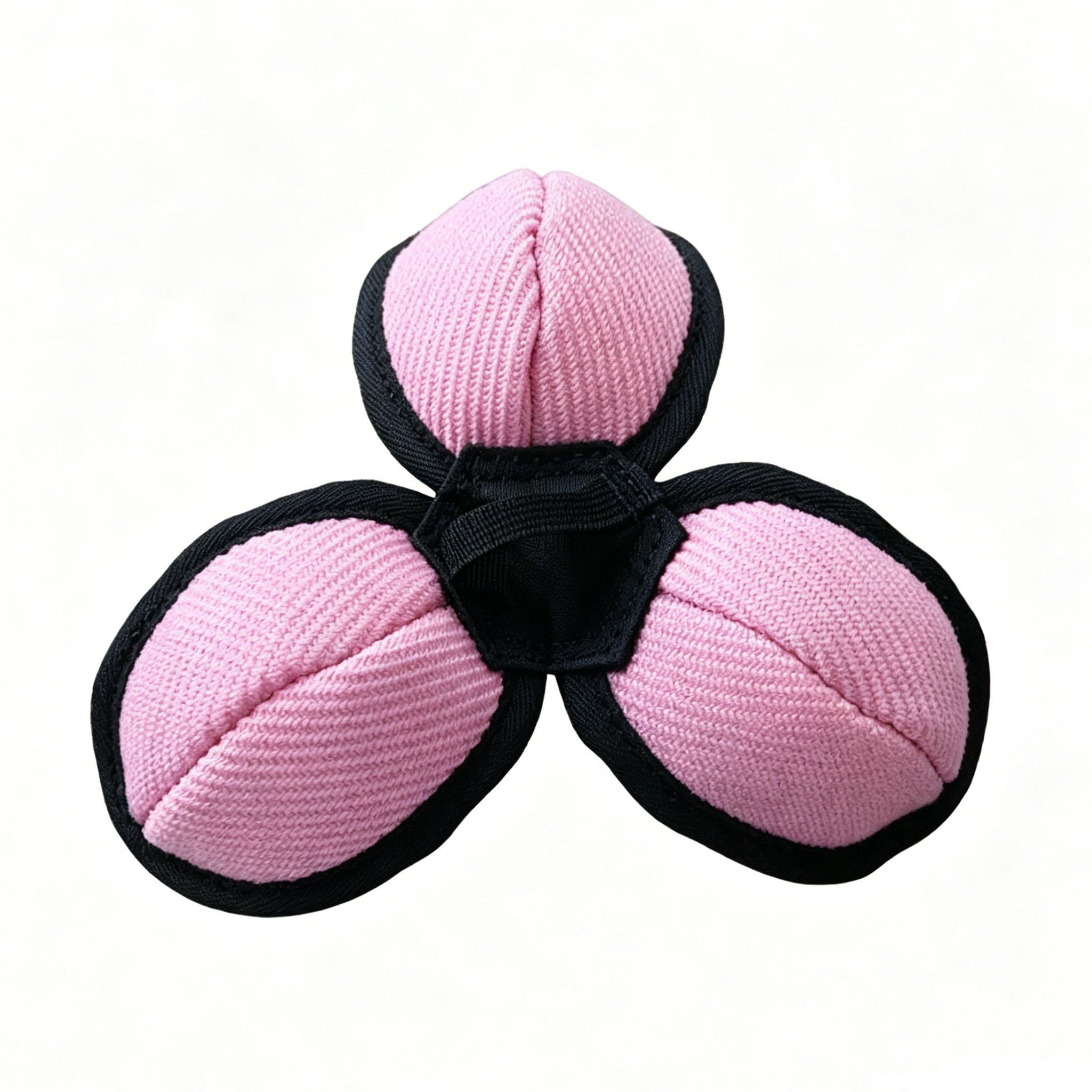 Lotus Hidden Food Dog Toy, Treat
