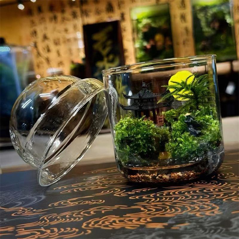 Micro Landscape Moss Glass Bottles Small Glass Ecological Bottle Green Plant Glass Terrarium Fun Plant Container Desktop Decor