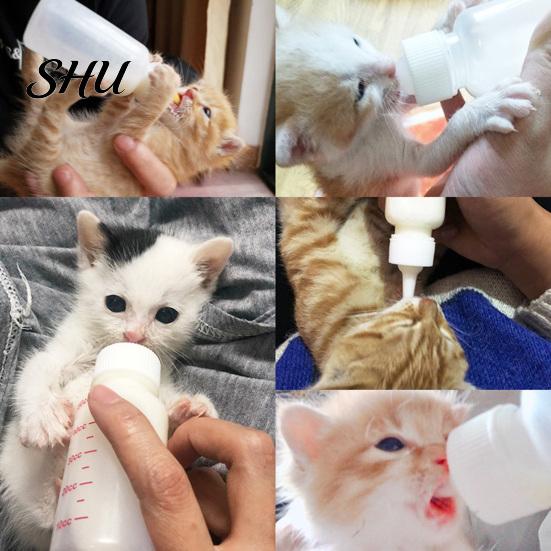 Cat Nursing Bottle 50ml, 120ml Feeding Soft Head Leak-proof Removable No Odor Pet Kitten Dogs for Newborn Puppy