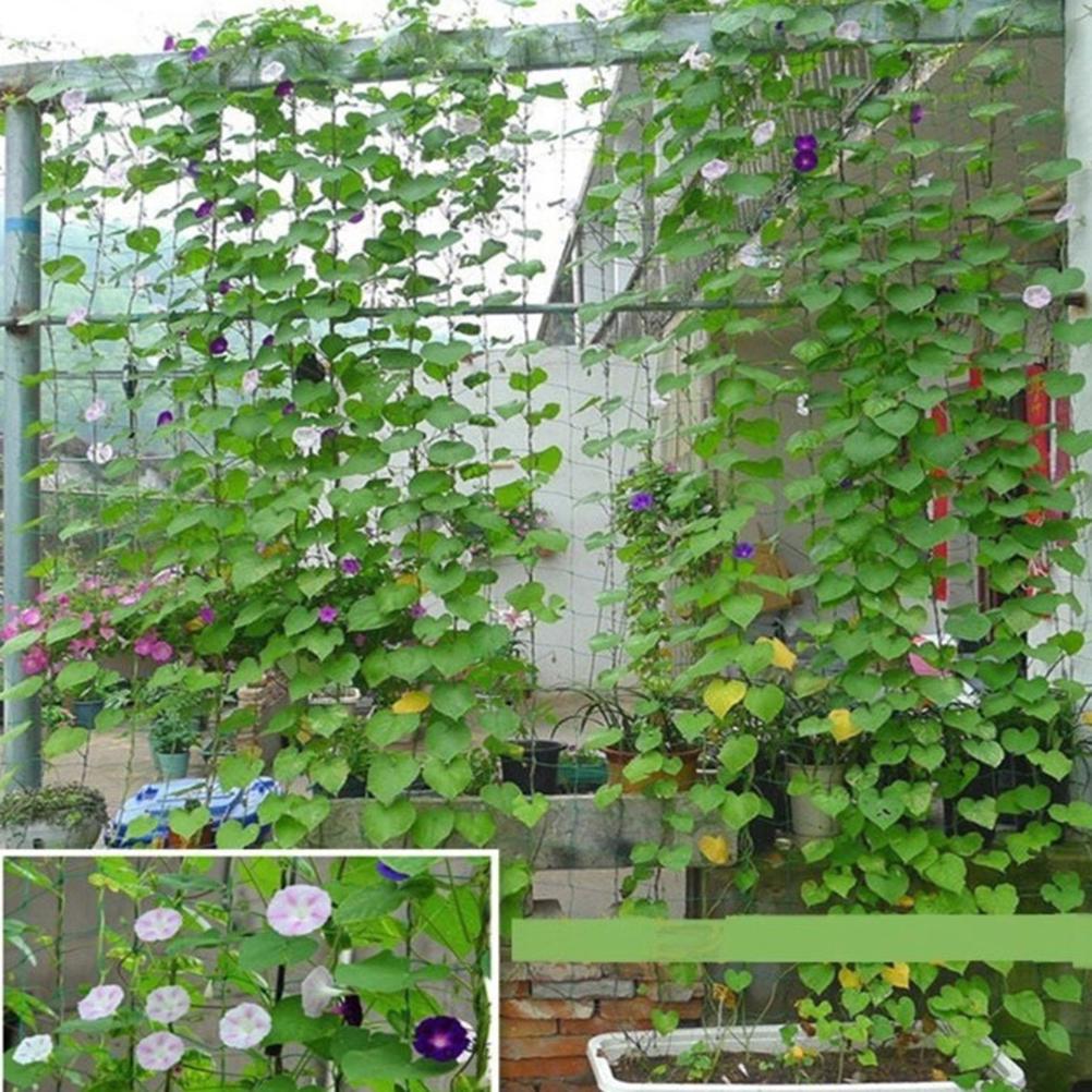 1 Stuks Tuinplanten Klimnet Nylon Net Gloriebloem Klimplant Net Kweeknet