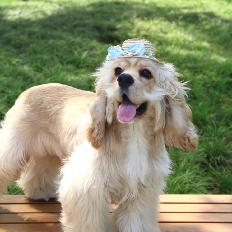 Puppy Straw Hat Outdoor Sunbonnet Costume Flower Hat Outdoor Lace Belt