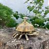 Brass Crab Table Bell Nautical Coastal Desk Decor
