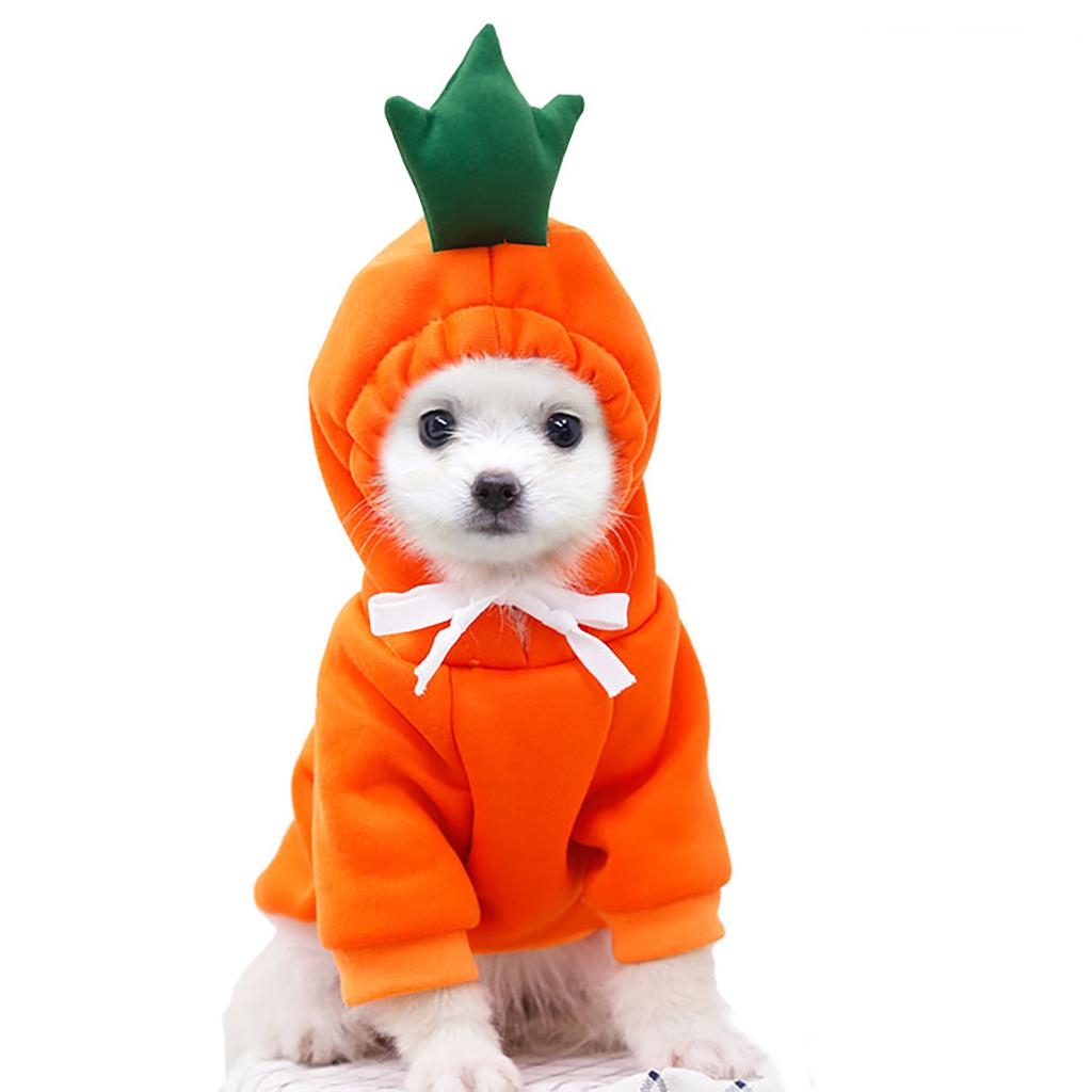 Pet Hoodie Warm Fleece Pullover Soft Comfortable Winter Outfit with Hood and Drawstring for Small Medium Dogs and Cats