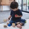 PlanToys Geo Matching Bausteine 5391