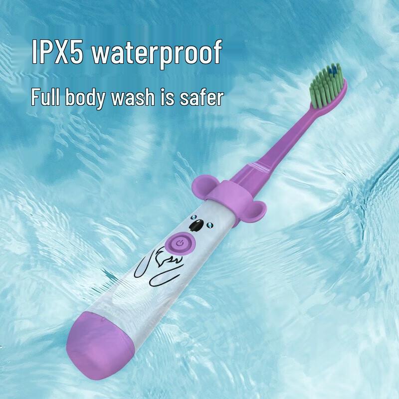 Audemai DY-119 Sonic Electric Toothbrush