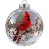 Nature's Birds Crystal Glass Ornament Clear Plastic Bird Christmas Ball Ornament Xmas Tree Memorial Gifts for Holiday Indoor Home Decor
