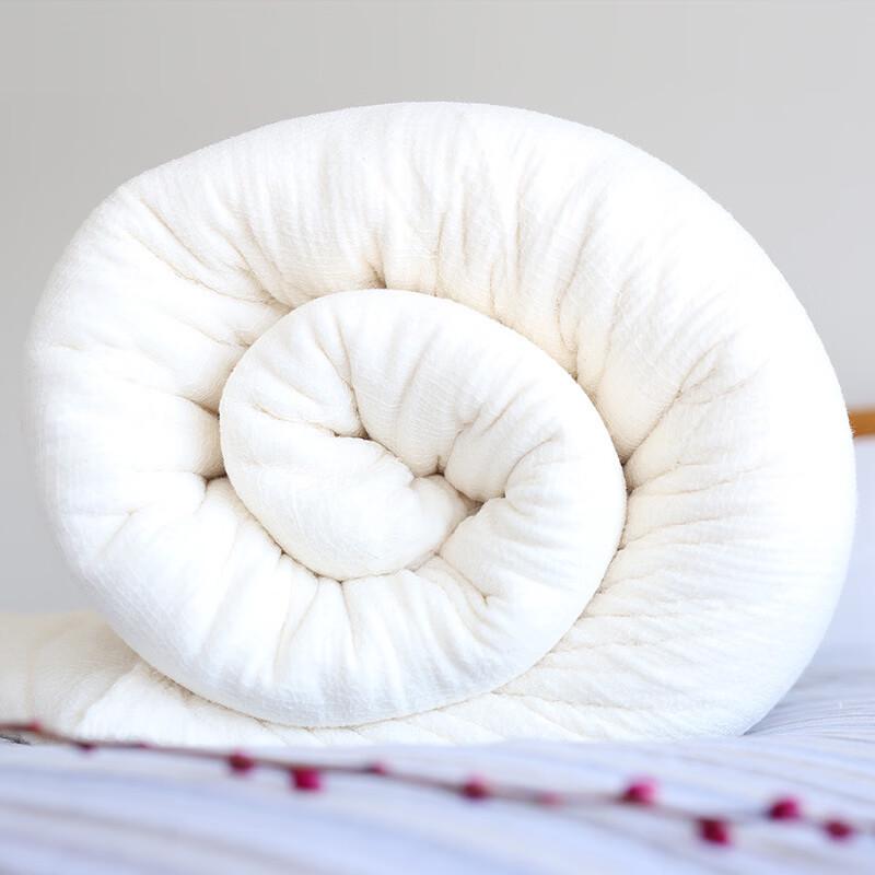 Oeny Thickened Winter Cotton Quilt