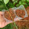 30/5 Stück Pflanzenbewurzelungs-Wachstumskugeln Hochdruck-Vermehrungs-Pfropfkugeln Wiederverwendbare Pflanzenbewurzelungsgeräte Gartenpfropfbedarf