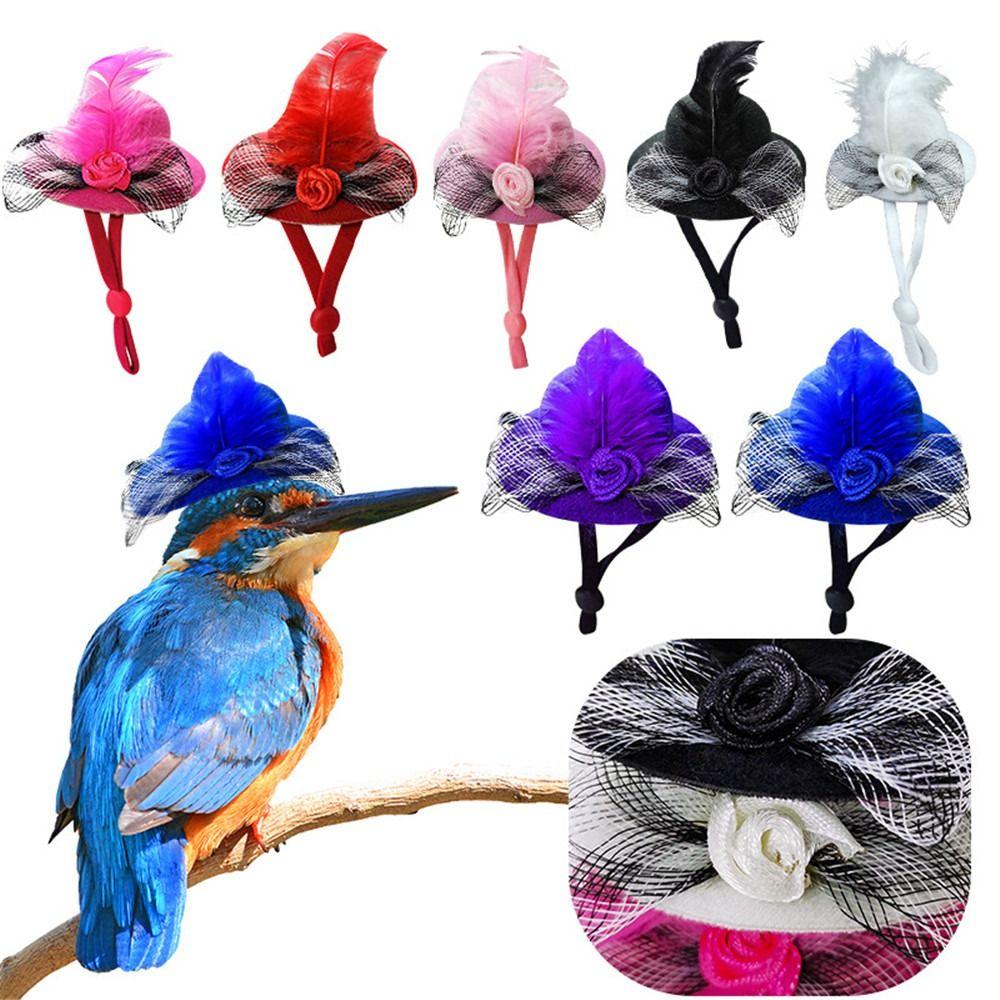 

Попугай, птица, петух, эластичный ремень, принадлежности для утки, домашние животные, куриные шапки, цилиндр с перьями, кепка для кур