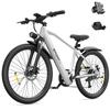 TOOFLY T8 Erwachsenen Elektrofahrrad Max. Geschwindigkeit 41 km/h 48V9.9Ah Akku Stadtwander E-Bike 26*1.95 Zoll Reifen Erwachsenen Elektrofahrrad