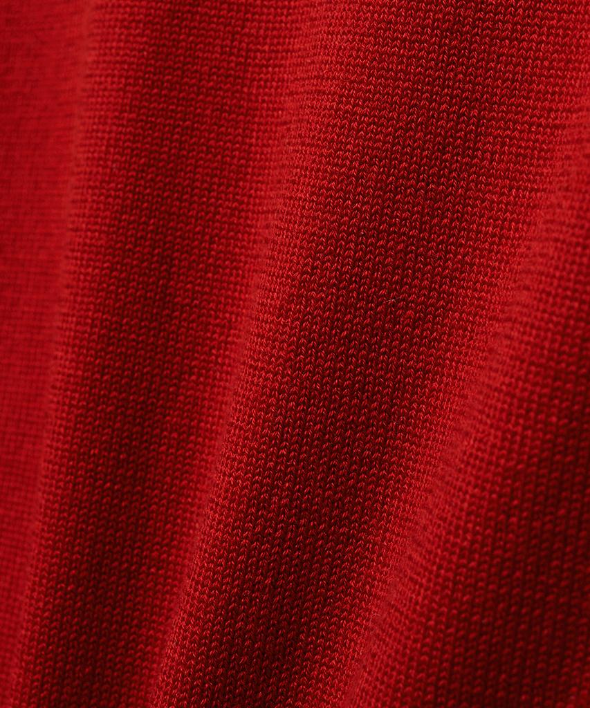NOIRER Silky V-Neck Knit (Red)